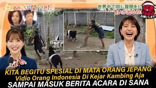 Download lagu Ternyata Di Jepang Ada Segment Khusus Tentang Indonesia, Orang Di Kejar Kambing Aja Jadi Berita mp3