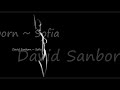 David Sanborn ~ Sofia