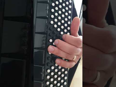 Ramuri de finic (Osana Fiul lui David) - Basi acordeon