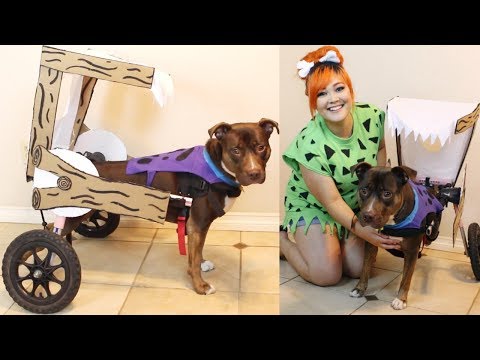 dino from flintstones costume for dogs