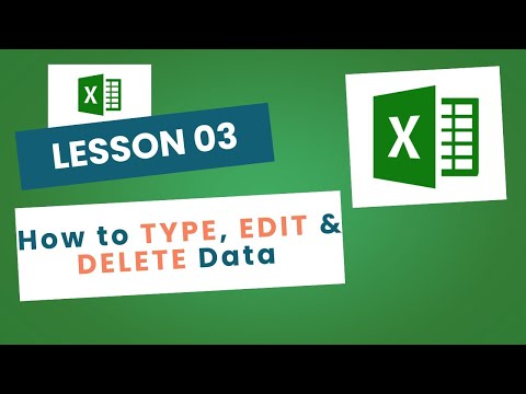 Lesson 3 How to Type, Edit & Delete Data | First Steps in Excel