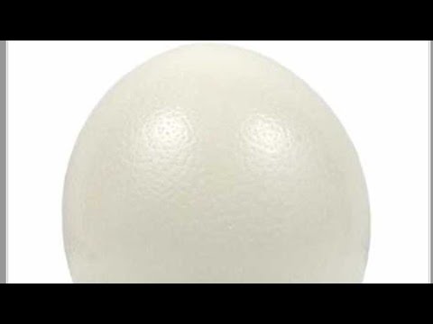 le plus gros oeuf du monde