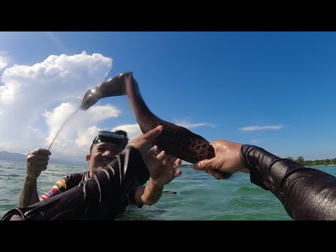 SE03EP028 Part 3 - Tuloy ang LABANAN sa PALOS DAGAT ( MORAY EEL ) Cagbalete Island, Mauban Quezon