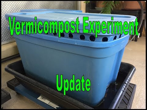 Vermicompost Experiment: Update 25, Bins 2 & 3