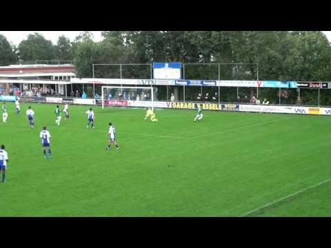 Samenvatting WHC - VVOG
