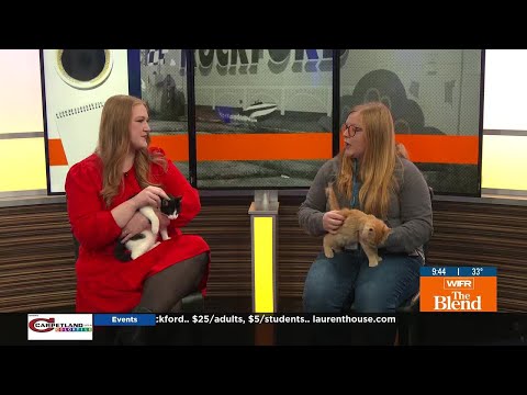 Pets of the Week - YouTube