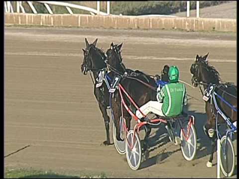 Trotto 16/12/2016 - 2ª corsa