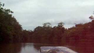 preview picture of video 'River Boat Ride to the Tamshiyacu-Tahauyo Reserve'
