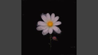 Download lagu Sweet Memories mp3