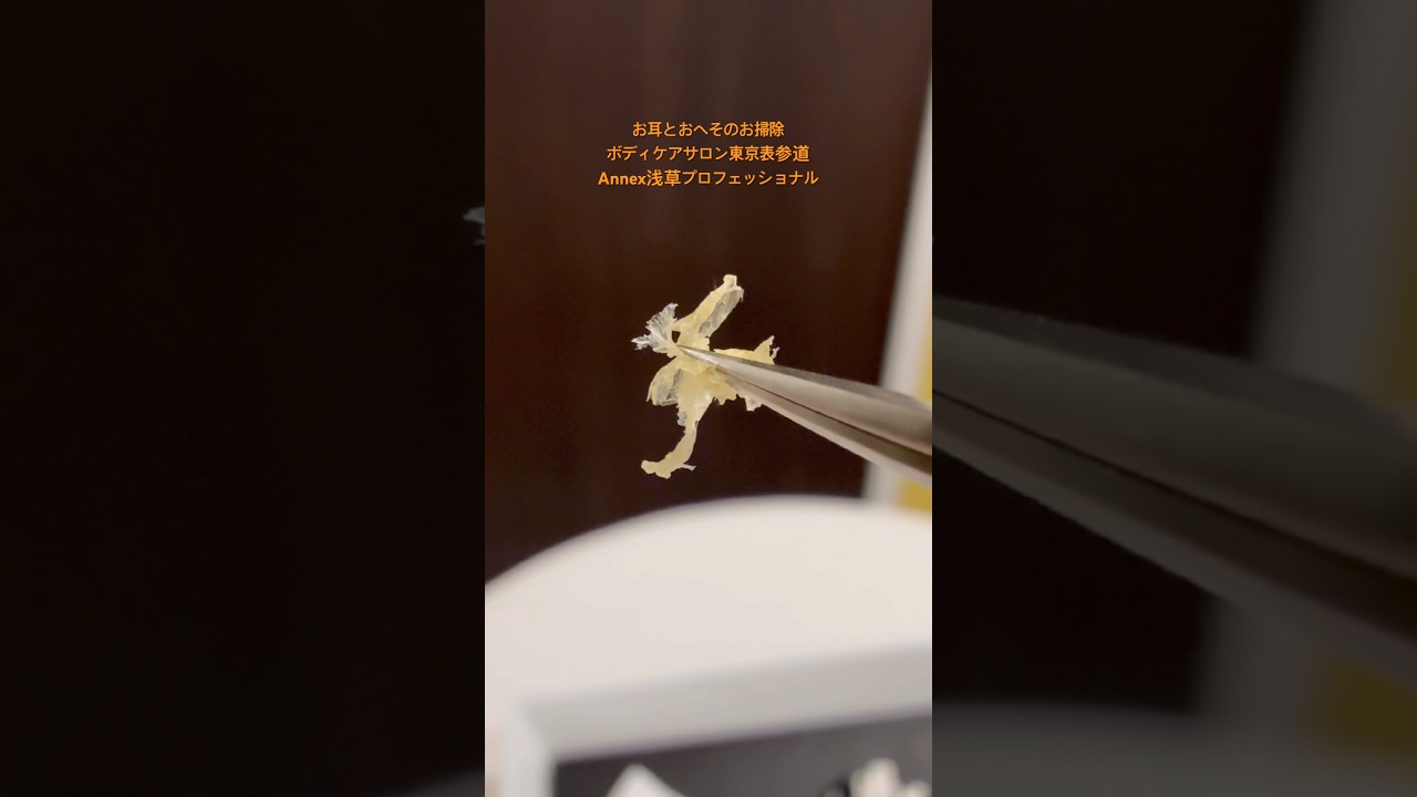 184#shorts #耳掃除   #耳かき #japaneseearcleaning #おへそ #掃除 #bellybutton