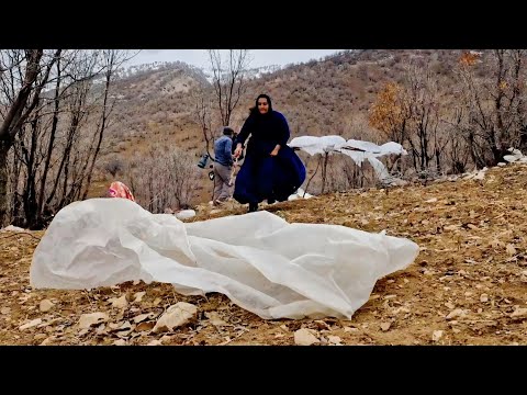 Documentary: Nomadic Family Woman, A Hard and Painful Life in a Cold and Ruined Shelter ❄️🏚️
