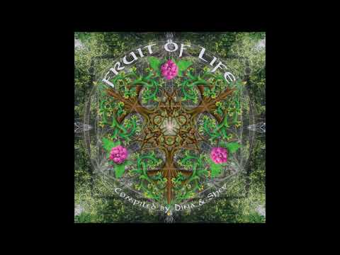 Metaphyz - Zoanthrope Instinct