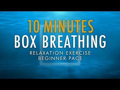 Box Breathing Relaxation Exercise | 10 Minutes Beginner Pace | Anxiety Reduction Pranayama Technique