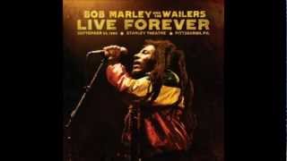 Bob Marley & The Wailers - Positive Vibration - Live Forever 2011
