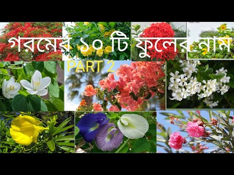 গরমের দশটি ফুলের নাম PART 2