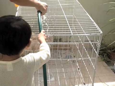 Zayd Daniel bathing Muffin