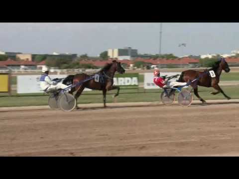 2017.05.20. 8. futam - KALI DÍJ