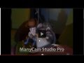 Funny Part On Toy Story 2 Fan Commentary Part 4 12 Subscribers