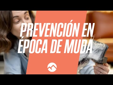 Prevención en época de muda - Webinar gratuito