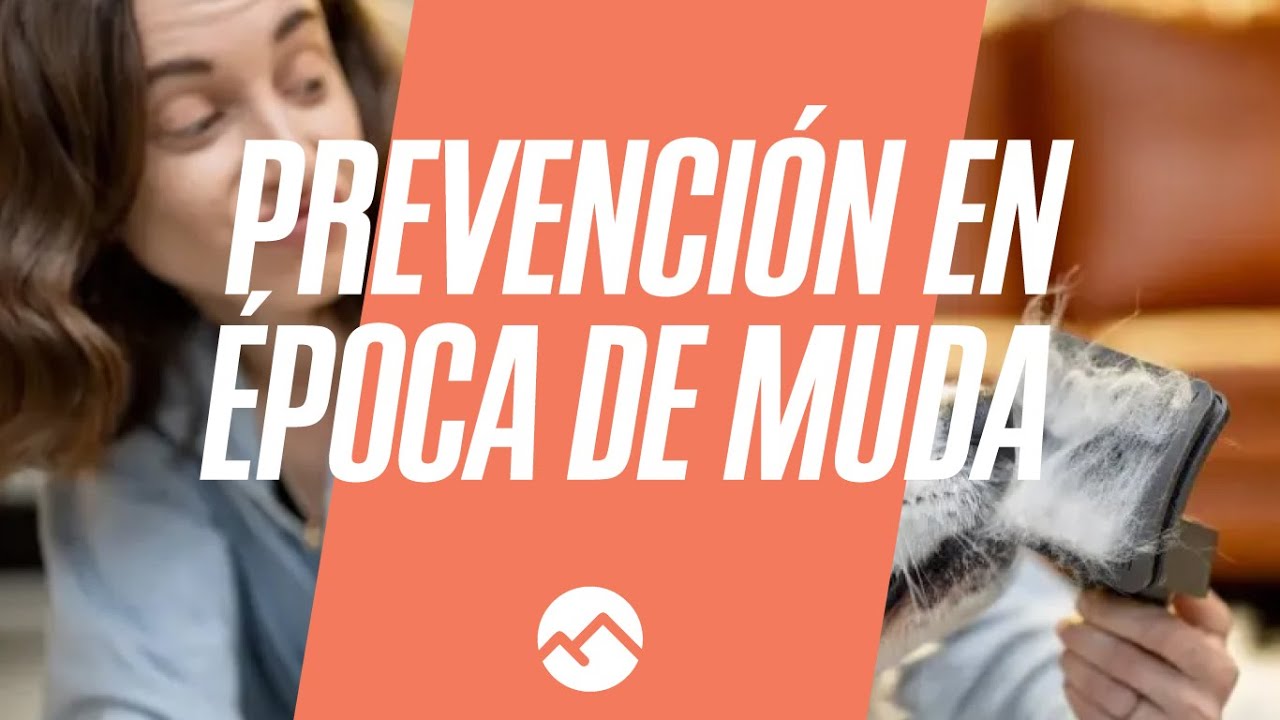 Prevención en época de muda - Webinar gratuito