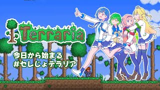 【#セレじょ】Terrariaするぞおおお【にじさんじ/東堂コハク/西園チグサ/北小路ヒスイ/周央サンゴ】