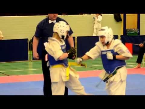 Lipo Lodin Sweden Junior Kyokushin Open Tournament 2013
