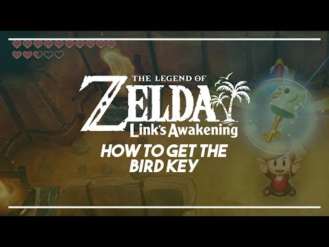 Link's Awakening Switch | How to Get the Bird Key