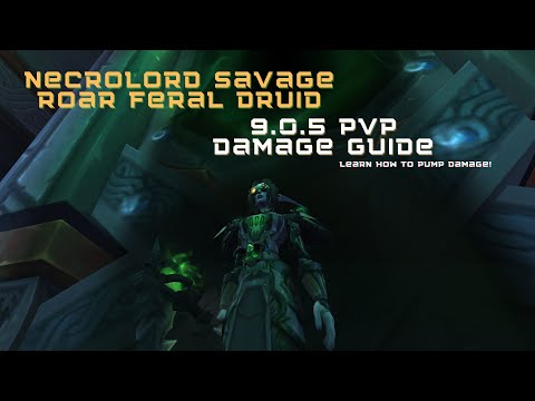 Necrolord + Savage Roar Feral Druid Pumps! Guide to Doing Insane Damage: Shadowlands 9.0.5 PvP Guide
