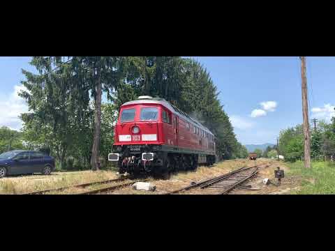 Ludmilla 65-1001-5 “Carol I” executând manevre în stația Teișani 4K60FPS HDR #L304ValeaTeleajenului