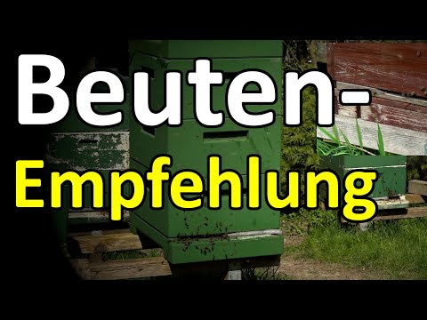 Beginning beekeepers: Which hive should I buy? Dadant? German-Normal? Langstroth? Zander?