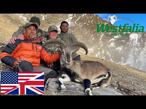 Bluesheep in Nepal. A mountain hunt of superlatives.