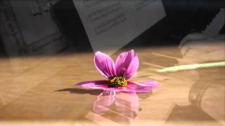 Max Richter -  H In New England