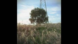 SALTNPAPER - Mini Album (Full Album)