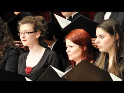 Zaczarowana Królewna