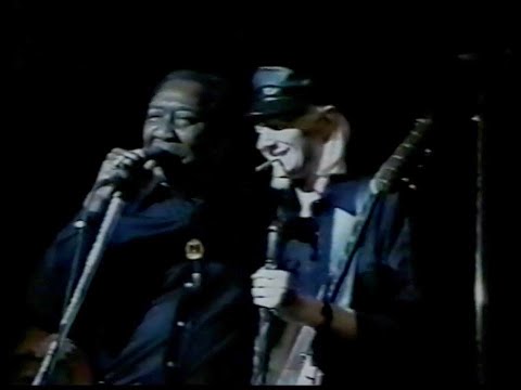 MUDDY WATERS & JOHNNY WINTER : Newport Jazz Fest 1979