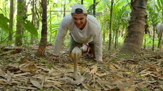 Thumbnail del capítulo