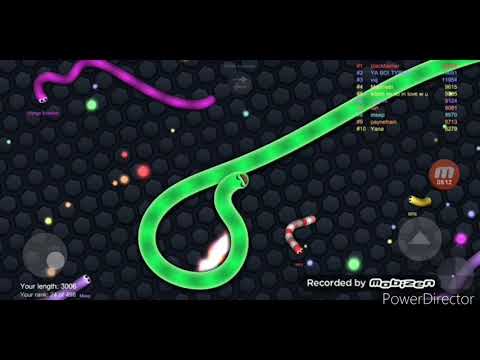 Žížaláci - Slither.io #3