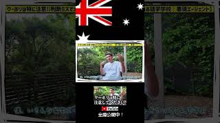 ワーホリは注意!! 判断ミスで大変なことになります。　#shorts