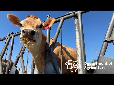 From farm to table with Ohio Department of Agriculture