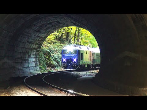 Trains in "CAVE" Tunnel-Romania-Trenuri în Tunelul Peștera-Bihor-România