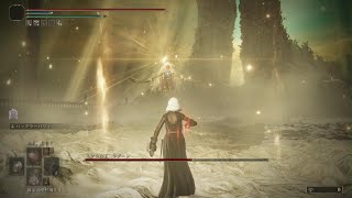 ELDEN RING  約束の王 近接遺灰縛り(パリィ)