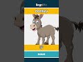 donkey - 驴 video thumbnail