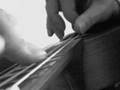 Jayne's Blue Wish - Tom Waits