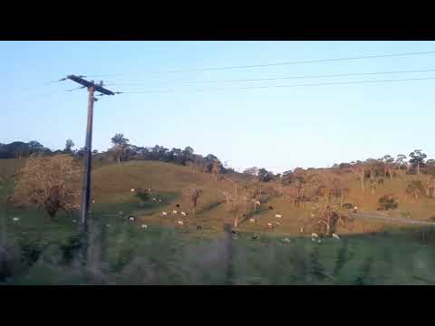 Mostrando para vocês do  trevo de Itapé até a cidade de  Barro Preto Bahia.