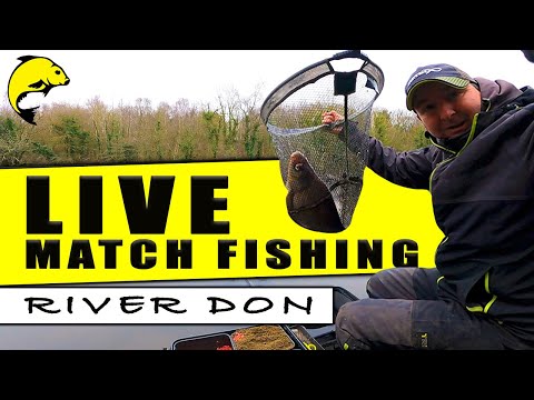 RIVER DON Open Match - LIVE MATCH FISHING 23rd January 2022