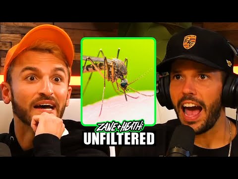 HEATH IS TERRIFIED OF BRAND NEW MOSQUITO BREED