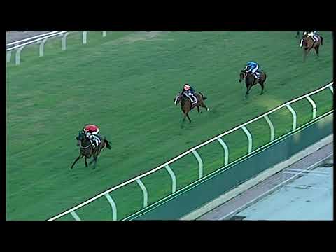 Napoli Galoppo 14/12/2021 - 4ª corsa