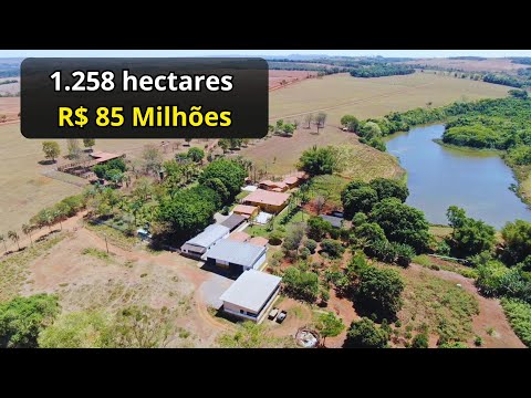 Ativo com 1258 hectares em Corumbá de Goiás/ Dupla Aptidão com Lavoura Expansível  por R$ 85 milhões