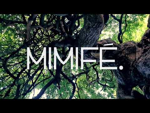 MIMIFÉ. / THAT'S BY YOU / TEASER