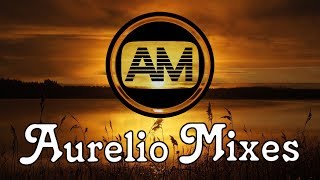 Gestört aber Geil Style Mix - Sommernachtstraum